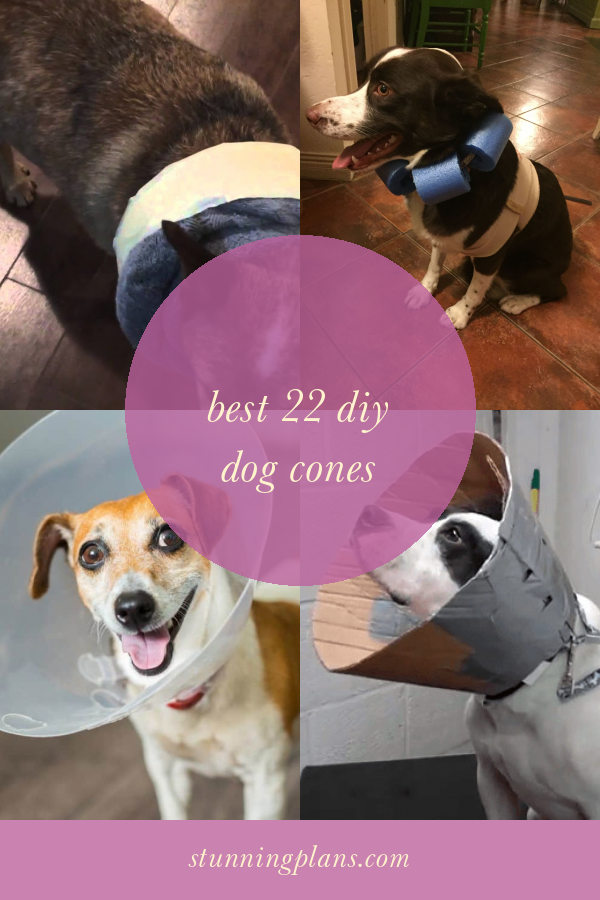 Best 22 Diy Dog Cones Home, Family, Style and Art Ideas